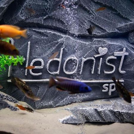 Hedonist-Belgrade Central Nest Экстерьер фото